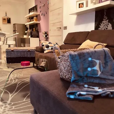 Apartman Moderno Apartamento En Pedras Negras *